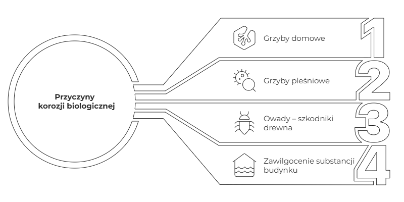 Diagram dotyczący korozji biologicznej